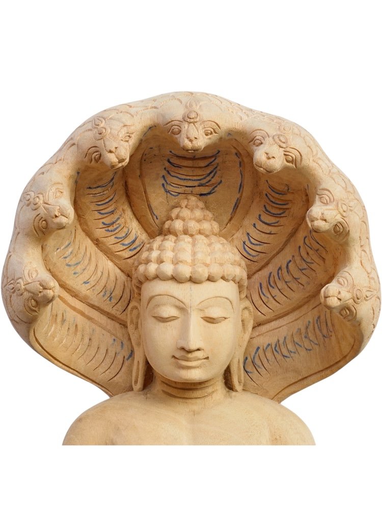 Lord Parshwanath — view 5